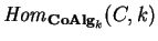 ${\it Hom}_{{\bf CoAlg}_k}
(C,k)$