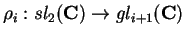 $\rho_i:sl_2({\bf C})\rightarrow gl_{i+1}
({\bf C})$