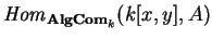 ${\it Hom}_{{\bf AlgCom}_k}(k[x,y],
A)$