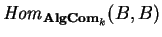 ${\it Hom}_{{\bf AlgCom}_k}(B,B)$