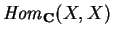 ${\it Hom}_{\bf C} (X,X)$