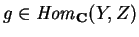 $g\in
{\it Hom}_{\bf C} (Y,Z)$