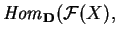 ${\it Hom}_{\bf D}
(\mathcal{ F}(X),$