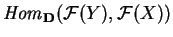 ${\it Hom}_{\bf D}
(\mathcal{ F}(Y),\mathcal{ F}(X))$