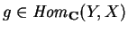 $g\in {\it Hom}_{\bf C} (Y,X)$