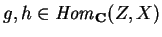 $g,h\in
{\it Hom}_{\bf C}(Z,X)$