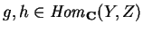$g,h\in {\it Hom}_{\bf C}(Y,Z)$