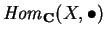 ${\it Hom}_{\bf C} (X,\bullet )$