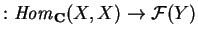 $:{\it Hom}_{\bf C}
(X,X)\rightarrow \mathcal{ F}(Y)$