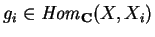 $g_i\in
{\it Hom}_{\bf C} (X,X_i)$