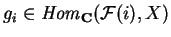 $g_i\in {\it Hom}_{\bf C} (\mathcal{ F}(i),X)$