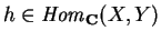 $h \in {\it Hom}_{\bf C}(X,Y)$