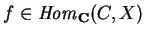 $f \in
{\it Hom}_{\bf C}(C,X)$