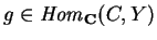 $g \in {\it Hom}_{\bf C}(C,Y)$