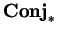 ${\bf Conj}_\ast$