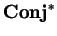 ${\bf Conj}^\ast$