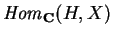 ${\it Hom}_{\bf C}(H,X)$