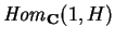 ${\it Hom}_{\bf C}(1,H)$