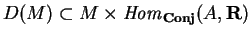 $D(M)\subset
M\times {\it Hom}_{\bf Conj}(A, {\bf R})$
