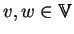 \(v,w\in\hbox{\blackboard V}\)