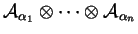 \({\cal A}_{\alpha_1}\otimes\cdots\otimes{\cal A}_{\alpha_n}\)