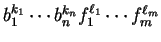 \(b_1^{k_1}\cdots b_n^{k_n}f_1^{\ell_1}\cdots
f_m^{\ell_m}\)