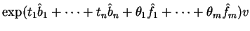 \(\exp (t_1\hat b_1+\cdots+ t_n\hat b_n + \theta_1\hat f_1 + \cdots
+\theta_m\hat f_m)v\)