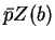 $\bar{p} Z (b)$