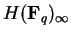 $H({\bf F}_q)_\infty$