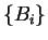 $\{ B_i\}$