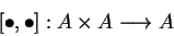 \begin{displaymath}[\bullet,\bullet]:
A\times A\longrightarrow A\end{displaymath}